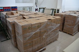 600 keyeyan rê kolîyê hetkarî ameyî vilakerdiş