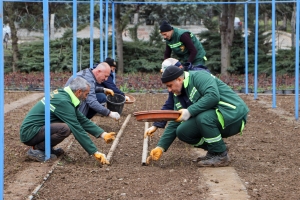 DBB grows its own roses, targets 25,000 saplings this year