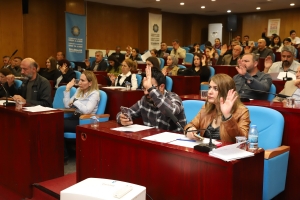 DBB Meclisi&rsquo;nden engelli ve kanser hastalarına ulaşım desteği kararı