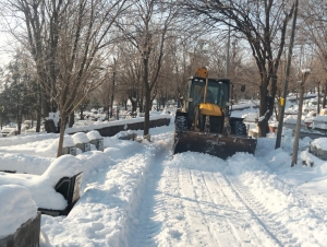 Goristanan de Xebat&ecirc; Ritiş&ecirc; Vewre &ucirc; Soleeştiş&icirc; Amey&icirc; Kerdene