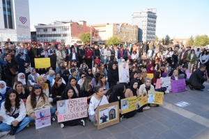 Eşbaşkan Bucak, Rojin Kabaiş için düzenlenen oturma eylemine katıldı
