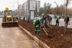 Selahattin Eyyubi Bulvarı estetik bir yaşam koridoruna d&ouml;n&uuml;ş&uuml;yor