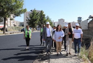 Hevşaredaran karên asfalt û peyzajê li cî venêrtin