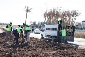 10 hezar darî refuj, peyerayîr, çatrayîr û parkan de do bêrê ronayene