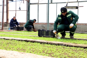 DBB d&ecirc; 2 m&icirc;lyon qurnif&icirc;l&ecirc;n &Ccedil;&icirc;n&ecirc; hilber&icirc;ne