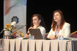 Hevşaredar Bucak: Astengdar di avakirina civakeke demokratîk de aktorên çalak in