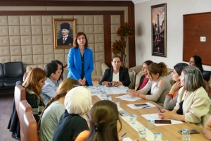 Hemsereka Şaredarîya Bajarê Girdî ya Amedî Bucak: Ma do meclîsê cinîyan ronê