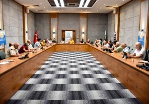 Konseya Bajêr a Amedê, Meclîsa Ziman ava dike