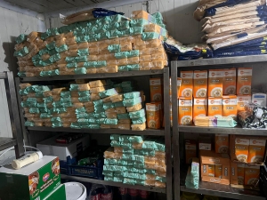 Kontrola xurekan: Dest dan&icirc;n ser n&ecirc;z&icirc; toneyek pen&icirc;r &ucirc; berhem&ecirc;n ş&icirc;r