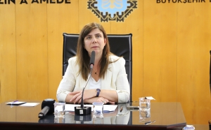 Co-Mayor Bucak briefed the Municipal Council on her visit to Japan