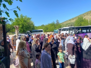Boneya Roja Dayikan bi sedan jin anîn cem hev