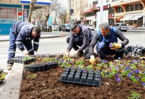 Ronayîşê vilê mewsîmî dewam kena