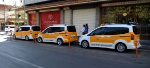 Li Erganiyê îhaleya taksiyên bazirganî