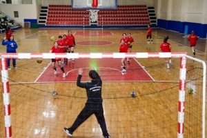 T&icirc;ma Hentbol&ecirc; ya Jinan a DBB&ecirc; di riya L&icirc;ga 1em&icirc;n de ye