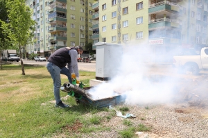 17 Qezayan de T&ecirc;koş&icirc;n&ecirc; Vera K&ecirc;zikan B&ecirc;mab&ecirc;n Dewam Keno