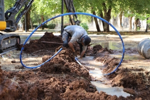 Binê Sûran de Xebatê Peyzajî