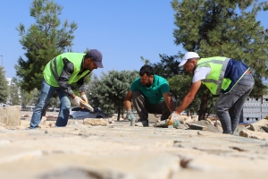 Li baxçeyê dermanî û bîhnxweş xebatên seresaziyê dest pê kir