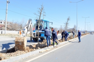 Heni de refuj û çatreyan de darî ameyê ronayîş.