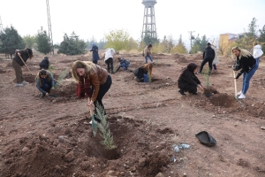 Saplings Planted in Barış Forest to Raise Awareness of Violence against Women