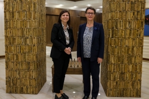 Serdana Balyoza Fransayê bo Şaredariya Bajarê Mezin