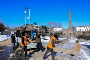 Şaredarî xebata ritişê vewre domnena