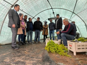 DBB personeline fidan aşılama eğitimi