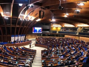 DBB Meclis üyesi, Avrupa Konseyi Yerel ve Bölgesel Yönetimler Kongresi’nde konuştu