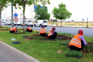 Refuj û çatreyan bi vilan ame xemilnayîş