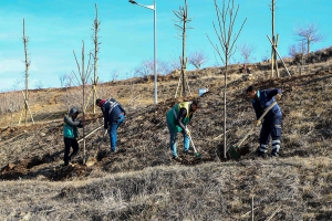 Daha yeşil bir Diyarbakır için 60 bin ağaç dikilecek