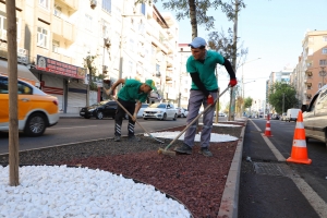 Bağlar’daki peyzaj çalışmaları tamamlandı