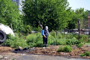 Şaredariya Amedê li çalên kêzikan derman direşîne