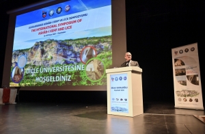 Karaloglu: “Heke Diyarbekir nehata standin Stenbol jî nedihate standin”