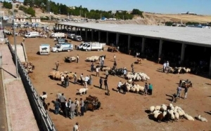 Li Diyarbekirê cihên firotin û serjêkirinê qurbanan hatin diyarkirin