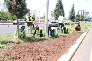 Kavşak ve refüjlerde peyzaj düzenleme çalışmaları sürüyor