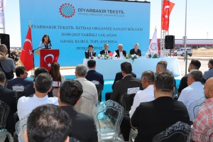 Eşbaşkan Bucak: Hep birlikte Diyarbakır’ı büyütelim