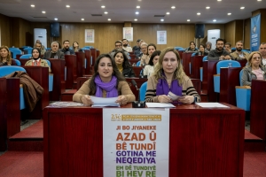 DBB Council Women&rsquo;s Commission Issues Statement for 25 November