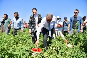 Walî Alî Ihsan Su, beşdarî zuhakirina “firingîyan” bû