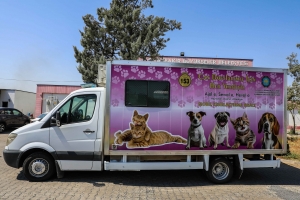 Wesayita xesandina heywanan a gerok ket ber xizmetê