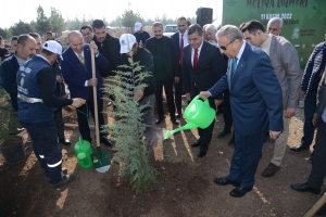 Milli Ağaçlandırma Günü’nde fidanlar toprakla buluşturuldu