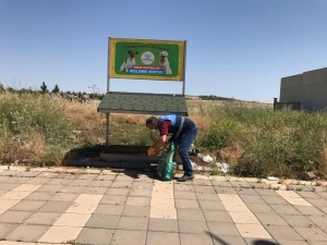 Şaredariyê di cejnê de jî se û pisîk ji bîr nekirin