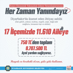 Şaredarî pere dekert hesabê wayîrê qerto sosyal