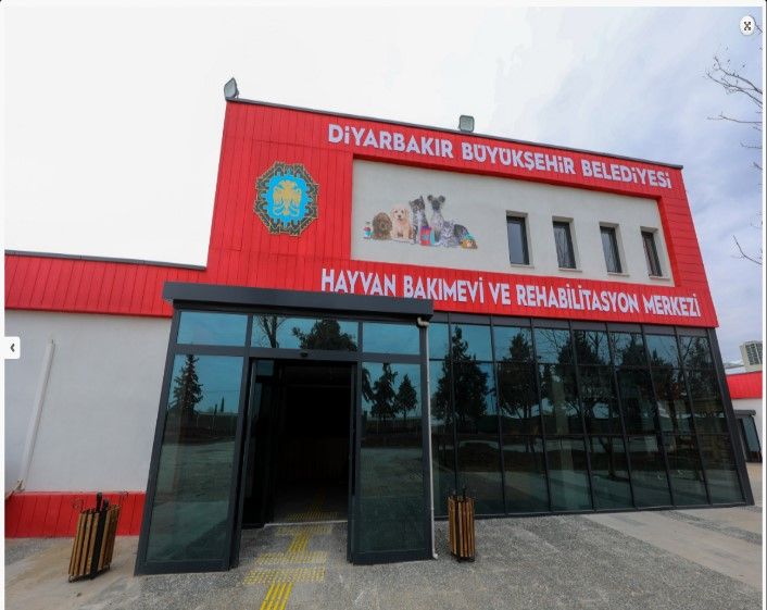 barinak1y.jpg